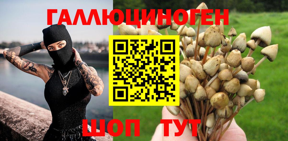 Галлюциногенные грибы MAGIC MUSHROOMS Старая Купавна